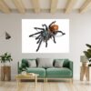 Spider Wall Sticker - Self Adhesive Wall Decal, Animal Wall Decal, Bedroom Wall Sticker, Removable Vinyl, Wall Decoration