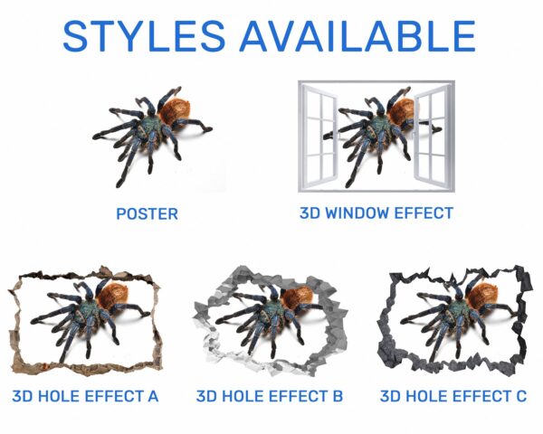 Spider Wall Sticker - Self Adhesive Wall Decal, Animal Wall Decal, Bedroom Wall Sticker, Removable Vinyl, Wall Decoration