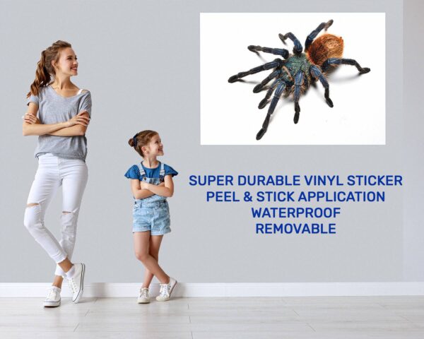 Spider Wall Sticker - Self Adhesive Wall Decal, Animal Wall Decal, Bedroom Wall Sticker, Removable Vinyl, Wall Decoration