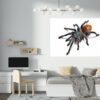 Spider Wall Sticker - Self Adhesive Wall Decal, Animal Wall Decal, Bedroom Wall Sticker, Removable Vinyl, Wall Decoration