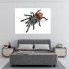 Spider Wall Sticker - Self Adhesive Wall Decal, Animal Wall Decal, Bedroom Wall Sticker, Removable Vinyl, Wall Decoration