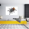 Spider Wall Sticker - Self Adhesive Wall Decal, Animal Wall Decal, Bedroom Wall Sticker, Removable Vinyl, Wall Decoration