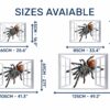 Spider Wall Sticker - Self Adhesive Wall Decal, Animal Wall Decal, Bedroom Wall Sticker, Removable Vinyl, Wall Decoration