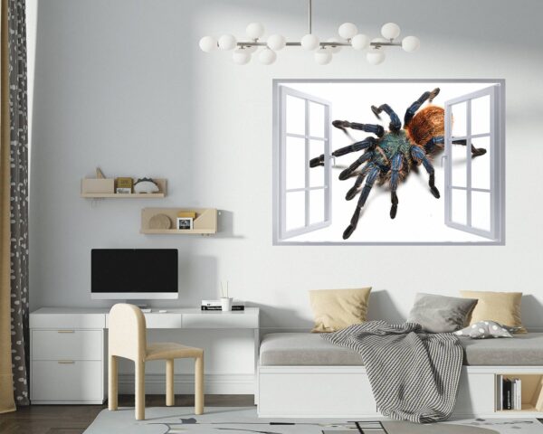 Spider Wall Sticker - Self Adhesive Wall Decal, Animal Wall Decal, Bedroom Wall Sticker, Removable Vinyl, Wall Decoration