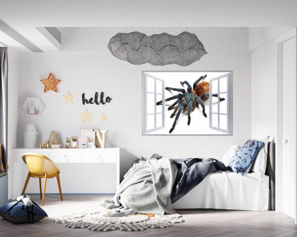 Spider Wall Sticker - Self Adhesive Wall Decal, Animal Wall Decal, Bedroom Wall Sticker, Removable Vinyl, Wall Decoration