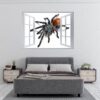 Spider Wall Sticker - Self Adhesive Wall Decal, Animal Wall Decal, Bedroom Wall Sticker, Removable Vinyl, Wall Decoration