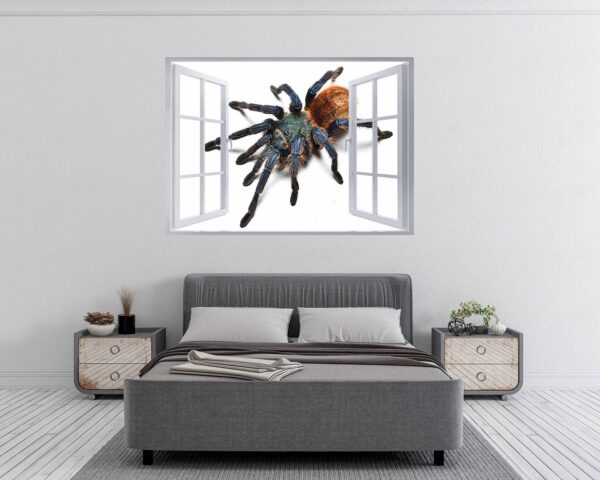 Spider Wall Sticker - Self Adhesive Wall Decal, Animal Wall Decal, Bedroom Wall Sticker, Removable Vinyl, Wall Decoration