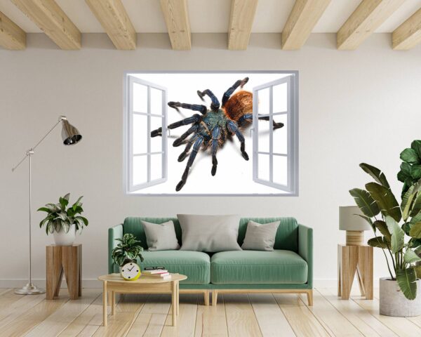 Spider Wall Sticker - Self Adhesive Wall Decal, Animal Wall Decal, Bedroom Wall Sticker, Removable Vinyl, Wall Decoration