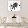 Spider Wall Sticker - Self Adhesive Wall Decal, Animal Wall Decal, Bedroom Wall Sticker, Removable Vinyl, Wall Decoration