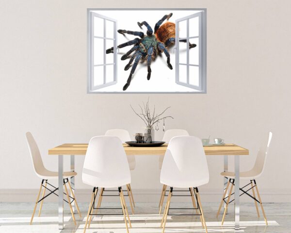 Spider Wall Sticker - Self Adhesive Wall Decal, Animal Wall Decal, Bedroom Wall Sticker, Removable Vinyl, Wall Decoration