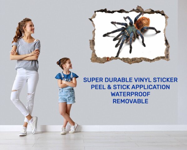 Spider Wall Sticker - Self Adhesive Wall Decal, Animal Wall Decal, Bedroom Wall Sticker, Removable Vinyl, Wall Decoration