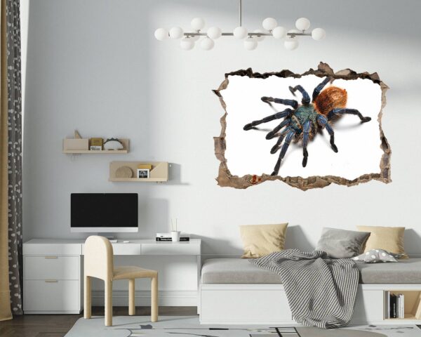 Spider Wall Sticker - Self Adhesive Wall Decal, Animal Wall Decal, Bedroom Wall Sticker, Removable Vinyl, Wall Decoration