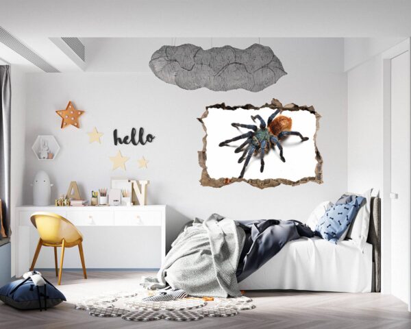 Spider Wall Sticker - Self Adhesive Wall Decal, Animal Wall Decal, Bedroom Wall Sticker, Removable Vinyl, Wall Decoration