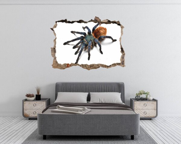 Spider Wall Sticker - Self Adhesive Wall Decal, Animal Wall Decal, Bedroom Wall Sticker, Removable Vinyl, Wall Decoration