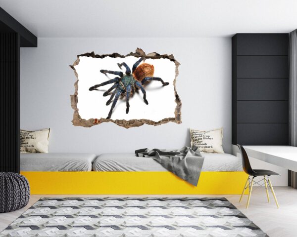 Spider Wall Sticker - Self Adhesive Wall Decal, Animal Wall Decal, Bedroom Wall Sticker, Removable Vinyl, Wall Decoration