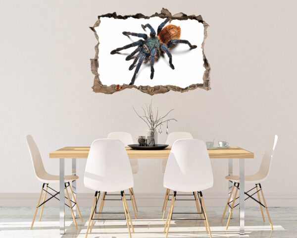 Spider Wall Sticker - Self Adhesive Wall Decal, Animal Wall Decal, Bedroom Wall Sticker, Removable Vinyl, Wall Decoration