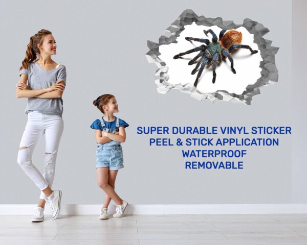 Spider Wall Sticker - Self Adhesive Wall Decal, Animal Wall Decal, Bedroom Wall Sticker, Removable Vinyl, Wall Decoration