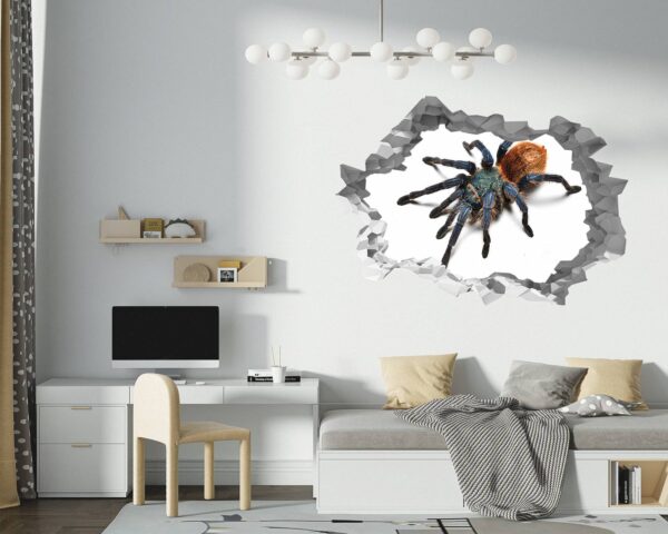 Spider Wall Sticker - Self Adhesive Wall Decal, Animal Wall Decal, Bedroom Wall Sticker, Removable Vinyl, Wall Decoration