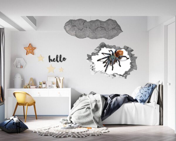 Spider Wall Sticker - Self Adhesive Wall Decal, Animal Wall Decal, Bedroom Wall Sticker, Removable Vinyl, Wall Decoration