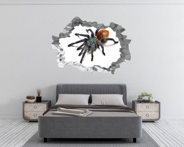 Spider Wall Sticker - Self Adhesive Wall Decal, Animal Wall Decal, Bedroom Wall Sticker, Removable Vinyl, Wall Decoration