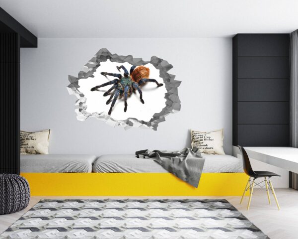 Spider Wall Sticker - Self Adhesive Wall Decal, Animal Wall Decal, Bedroom Wall Sticker, Removable Vinyl, Wall Decoration