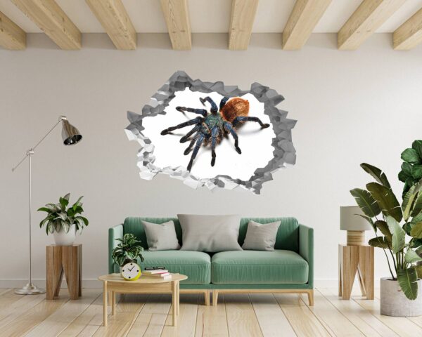 Spider Wall Sticker - Self Adhesive Wall Decal, Animal Wall Decal, Bedroom Wall Sticker, Removable Vinyl, Wall Decoration