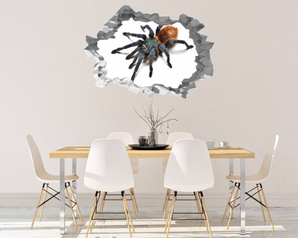 Spider Wall Sticker - Self Adhesive Wall Decal, Animal Wall Decal, Bedroom Wall Sticker, Removable Vinyl, Wall Decoration