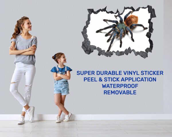 Spider Wall Sticker - Self Adhesive Wall Decal, Animal Wall Decal, Bedroom Wall Sticker, Removable Vinyl, Wall Decoration