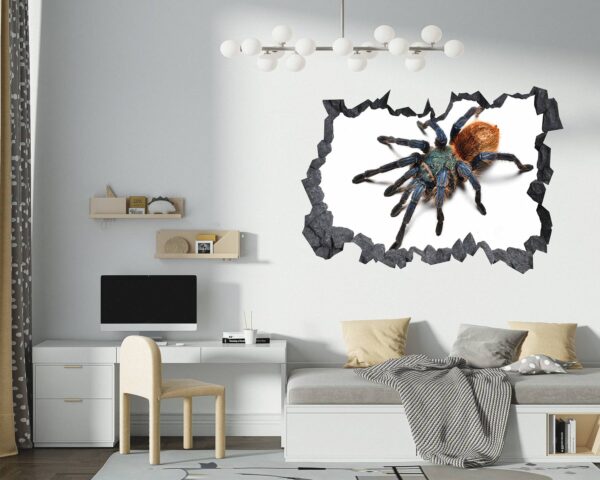 Spider Wall Sticker - Self Adhesive Wall Decal, Animal Wall Decal, Bedroom Wall Sticker, Removable Vinyl, Wall Decoration