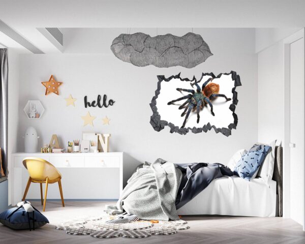 Spider Wall Sticker - Self Adhesive Wall Decal, Animal Wall Decal, Bedroom Wall Sticker, Removable Vinyl, Wall Decoration