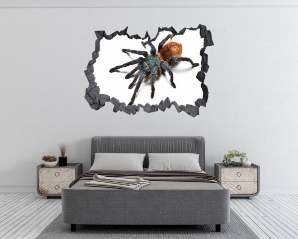 Spider Wall Sticker - Self Adhesive Wall Decal, Animal Wall Decal, Bedroom Wall Sticker, Removable Vinyl, Wall Decoration