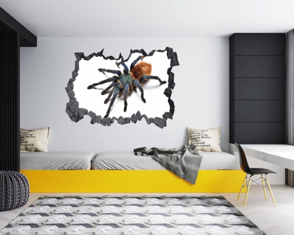 Spider Wall Sticker - Self Adhesive Wall Decal, Animal Wall Decal, Bedroom Wall Sticker, Removable Vinyl, Wall Decoration