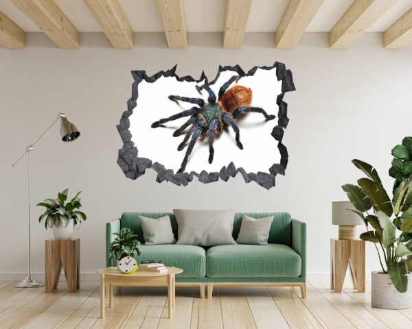 Spider Wall Sticker - Self Adhesive Wall Decal, Animal Wall Decal, Bedroom Wall Sticker, Removable Vinyl, Wall Decoration