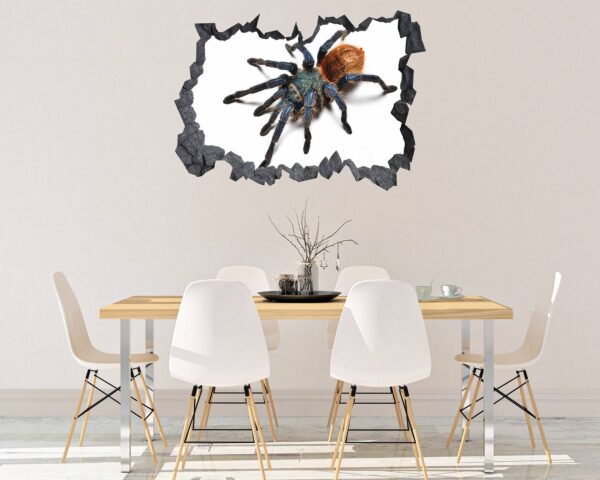 Spider Wall Sticker - Self Adhesive Wall Decal, Animal Wall Decal, Bedroom Wall Sticker, Removable Vinyl, Wall Decoration