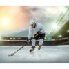 Hockey Wall Art - Sport Theme Wall Decor, Living Room Wall Art, Wall Decal Sports, Digital print, Removable Wall Sticker