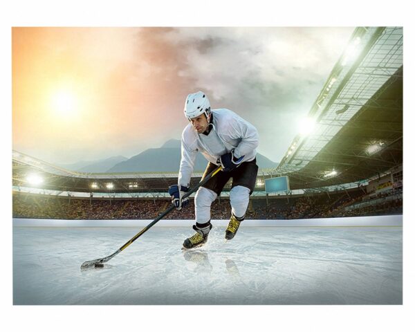 Hockey Wall Art - Sport Theme Wall Decor, Living Room Wall Art, Wall Decal Sports, Digital print, Removable Wall Sticker