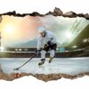 Hockey Wall Art - Sport Theme Wall Decor, Living Room Wall Art, Wall Decal Sports, Digital print, Removable Wall Sticker