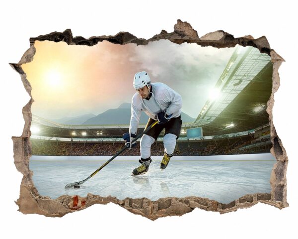 Hockey Wall Art - Sport Theme Wall Decor, Living Room Wall Art, Wall Decal Sports, Digital print, Removable Wall Sticker