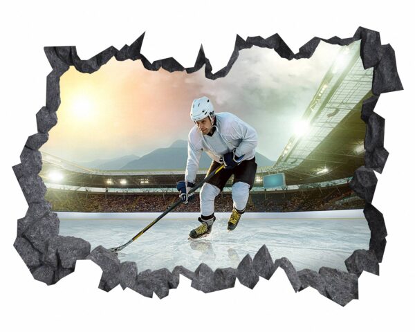 Hockey Wall Art - Sport Theme Wall Decor, Living Room Wall Art, Wall Decal Sports, Digital print, Removable Wall Sticker