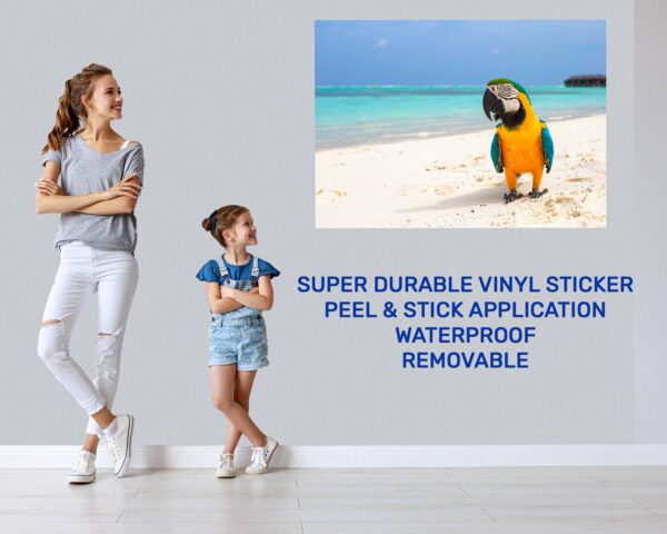 Parrot Wall Sticker - Self Adhesive Wall Decal, Animal Wall Decal, Bedroom Wall Sticker, Removable Vinyl, Wall Decoration