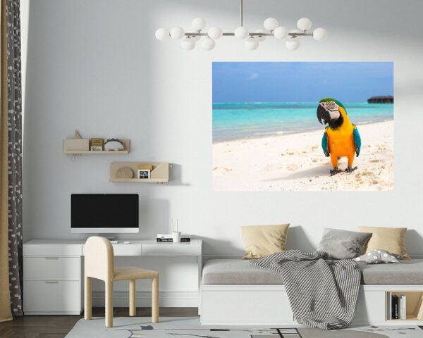 Parrot Wall Sticker - Self Adhesive Wall Decal, Animal Wall Decal, Bedroom Wall Sticker, Removable Vinyl, Wall Decoration