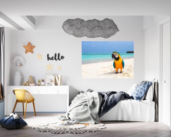 Parrot Wall Sticker - Self Adhesive Wall Decal, Animal Wall Decal, Bedroom Wall Sticker, Removable Vinyl, Wall Decoration