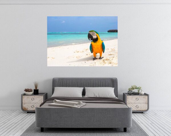 Parrot Wall Sticker - Self Adhesive Wall Decal, Animal Wall Decal, Bedroom Wall Sticker, Removable Vinyl, Wall Decoration