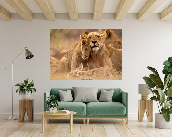 Lion Wall Sticker - Self Adhesive Wall Decal, Animal Wall Decal, Bedroom Wall Sticker, Removable Vinyl, Wall Decoration