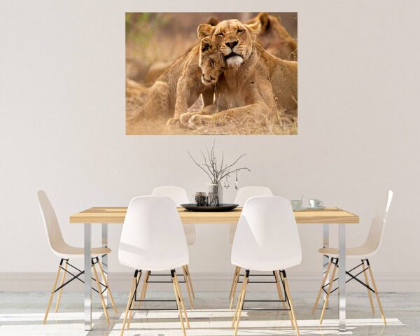 Lion Wall Sticker - Self Adhesive Wall Decal, Animal Wall Decal, Bedroom Wall Sticker, Removable Vinyl, Wall Decoration