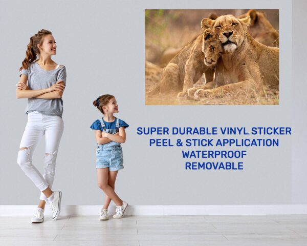 Lion Wall Sticker - Self Adhesive Wall Decal, Animal Wall Decal, Bedroom Wall Sticker, Removable Vinyl, Wall Decoration