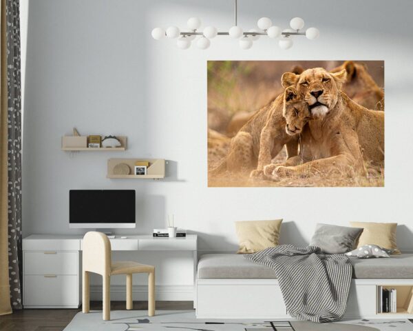 Lion Wall Sticker - Self Adhesive Wall Decal, Animal Wall Decal, Bedroom Wall Sticker, Removable Vinyl, Wall Decoration