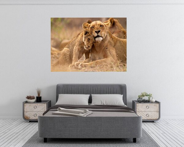 Lion Wall Sticker - Self Adhesive Wall Decal, Animal Wall Decal, Bedroom Wall Sticker, Removable Vinyl, Wall Decoration