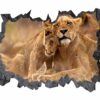 Lion Wall Sticker - Self Adhesive Wall Decal, Animal Wall Decal, Bedroom Wall Sticker, Removable Vinyl, Wall Decoration