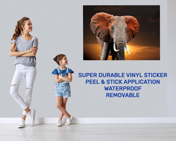 Elephant Wall Decal - Self Adhesive Wall Decal, Animal Wall Decal, Bedroom Wall Sticker, Removable Vinyl, Wall Decoration